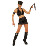 leren zweep, kat met 9 staarten