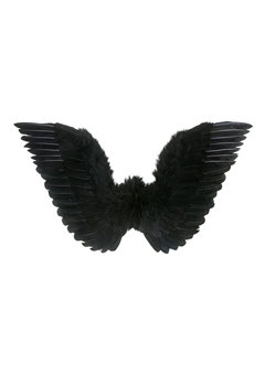 gevederde vleugels zwart 86x31