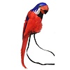 Carnavalsaccessoires: Papegaai