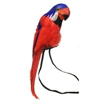 Carnavalsaccessoires: Piraten Papegaai