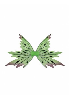 Carnavalsartikelen: Groene vleugels