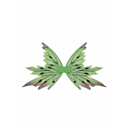Carnavalsaccessoires: Groene vleugels