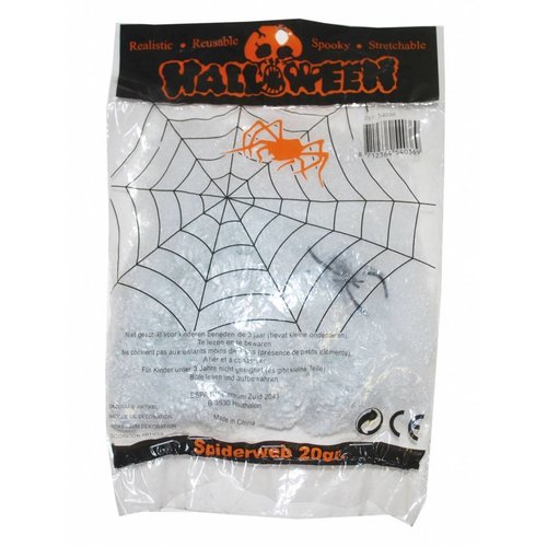 Eng spinnenweb van 20 gram