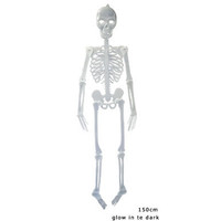 Decoratief hangend geraamte glow in the dark van 150cm