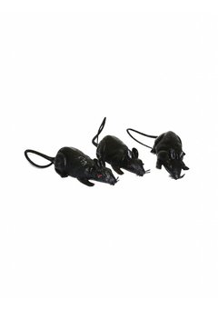 Set zwarte ratten