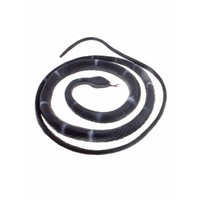 Grijs zwarte nep slang voor een griezel party