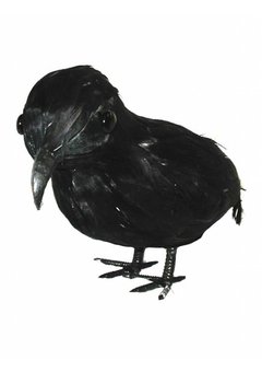 Zwarte nep kraai