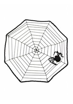 Spinnenweb  met zwarte spin