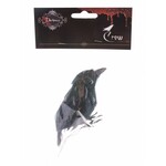 Leuke zwarte kraai voor de piraat