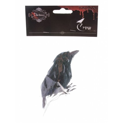 Leuke zwarte kraai voor de piraat