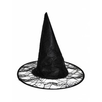 Mooie heksen hoed spinnenweb