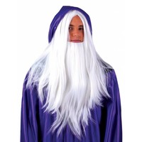 Mooie pruik magiër Harry