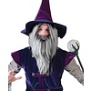 Pruik tovenaar Halloween grijs
