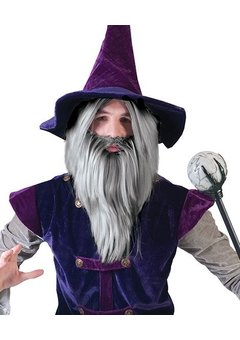Pruik tovenaar Halloween grijs