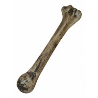 Griezelig bot voor holbewoner