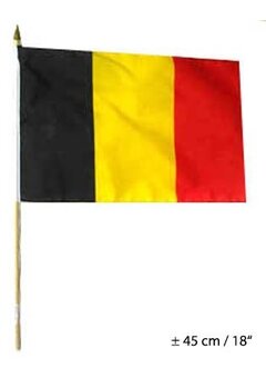 Vlag 30x45cm België