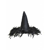 Mooie zwarte heksen hoed met zwarte veren
