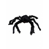 Griezelige grote zwarte spin