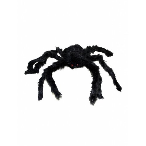 Griezelige grote zwarte spin