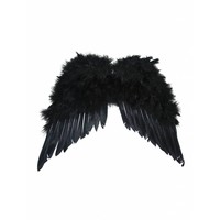 Mooie zwarte veren vleugels