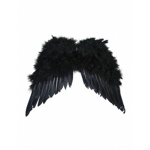 Mooie zwarte veren vleugels