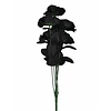 Zwarte rozen boeket Halloween