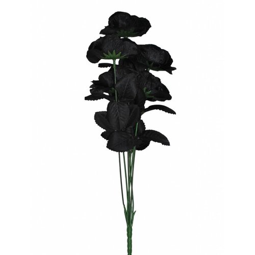 Mooi boeket met zes zwarte rozen