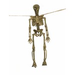 Enge slinger met skeletten voor een griezel party