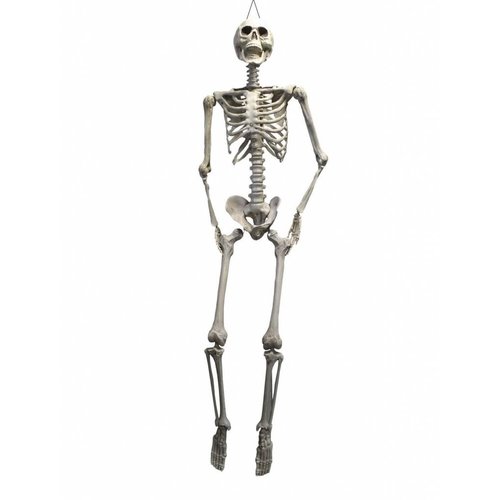 Levensecht skelet van 200cm