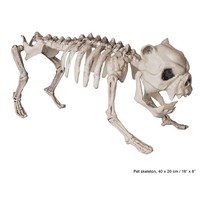 Eng nep honden skelet