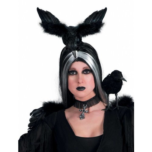 Mooi diadeem met grote zwarte kraai