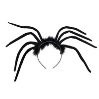 Mooie tiara zwarte spin met lange poten