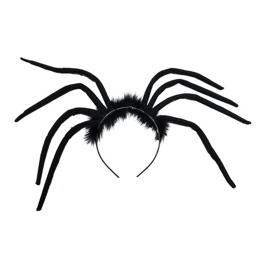 Mooie tiara zwarte spin met lange poten