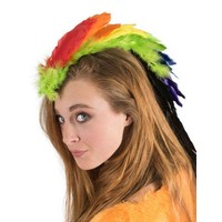 Leuke haarclip regenboog met veertjes