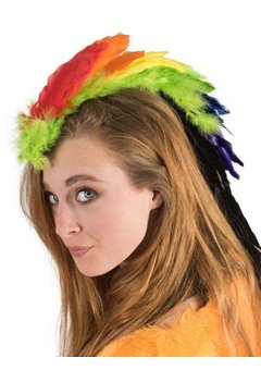 Haarclip regenboog met veertjes