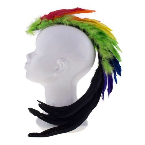 Leuke haarclip regenboog met veertjes