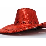 Mooie cowboyhoed pailletten glitter unisex