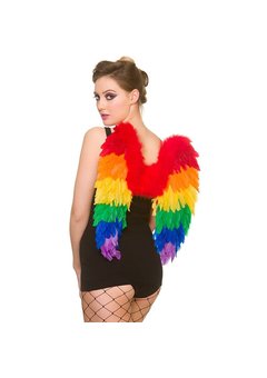 Veren vleugels Diana regenboog kleuren