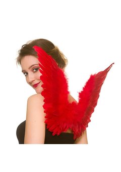 Veren vleugels Peggy rood 36x60cm