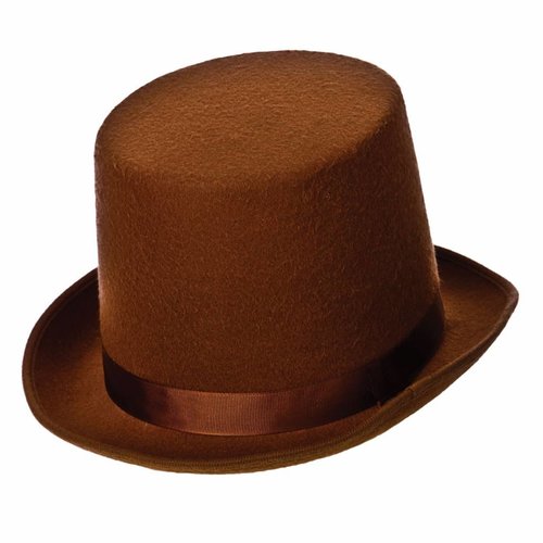 Mooie bruine hoge hoed James
