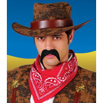 Originele zwarte snor cowboy Willie