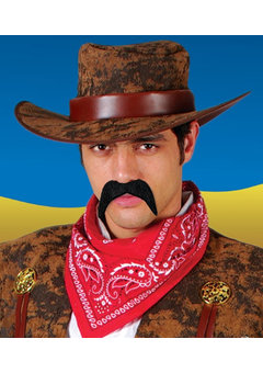 Zwarte snor cowboy Willie