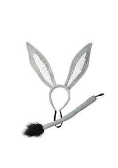 Ezel verkleed set Tjaartje