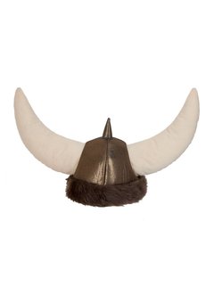Vikinghelm Ragnar van stof
