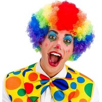 Mooie afro pruik in regenboog kleuren voor de clown