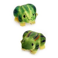 Leuke kleine kikkers 3 verschillende stuks