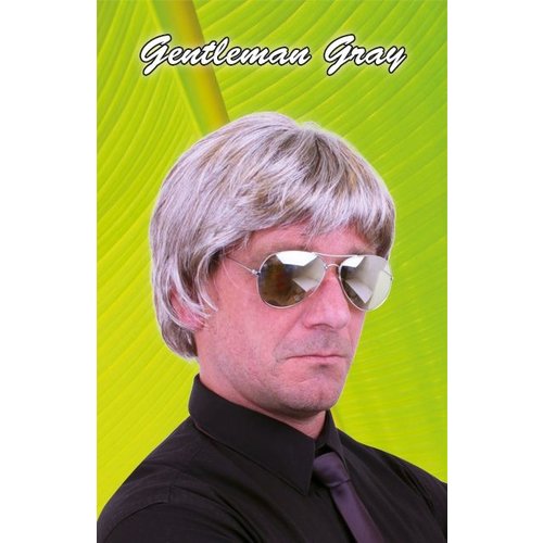 Disco pruik Vince in grijs