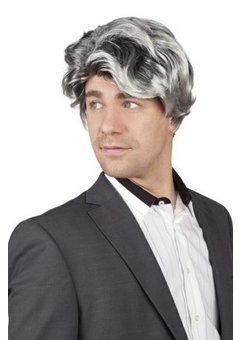 Pruik Daniel in zwart grijs