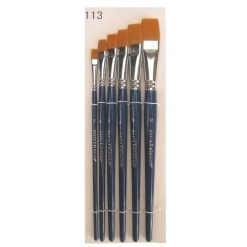 PXP penselenset 6 stuks