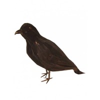 Grappige zwarte raaf van 15 cm